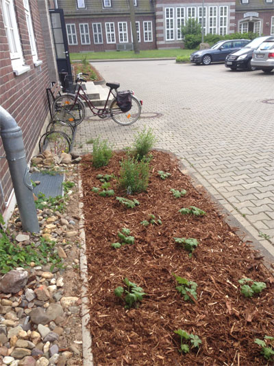 Anlegen eines Beets