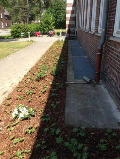 Anlegen eines Beets